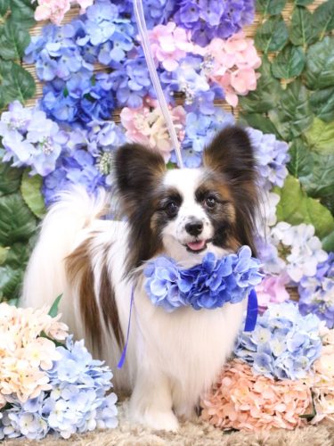 20250601マリーちゃん